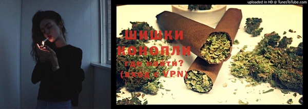 ГАЛЛЮЦИНОГЕННЫЕ ГРИБЫ Балахна
