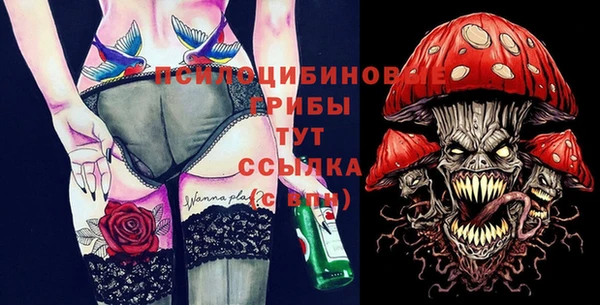 ГАЛЛЮЦИНОГЕННЫЕ ГРИБЫ Балахна