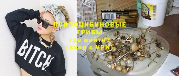 ГАЛЛЮЦИНОГЕННЫЕ ГРИБЫ Балахна